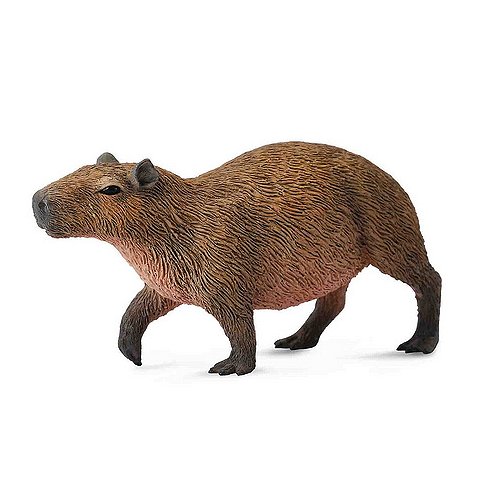 capybara