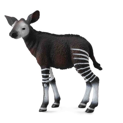 bébé okapi